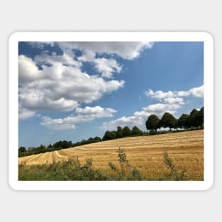 Rural German landscape in Schleswig-Holstein Sticker